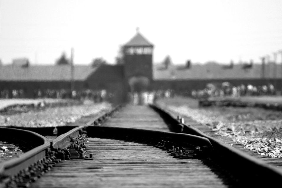 Auschwitz-Birkenau: Memorial Entry Ticket and Guided Tour - Just The Basics