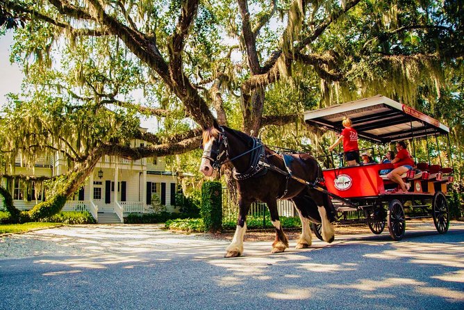 Beaufort's #1 Horse & Carriage History Tour - Key Points