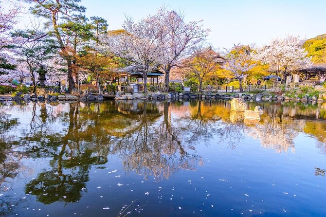 Beautiful Photography Tour in Kyoto - Key Points