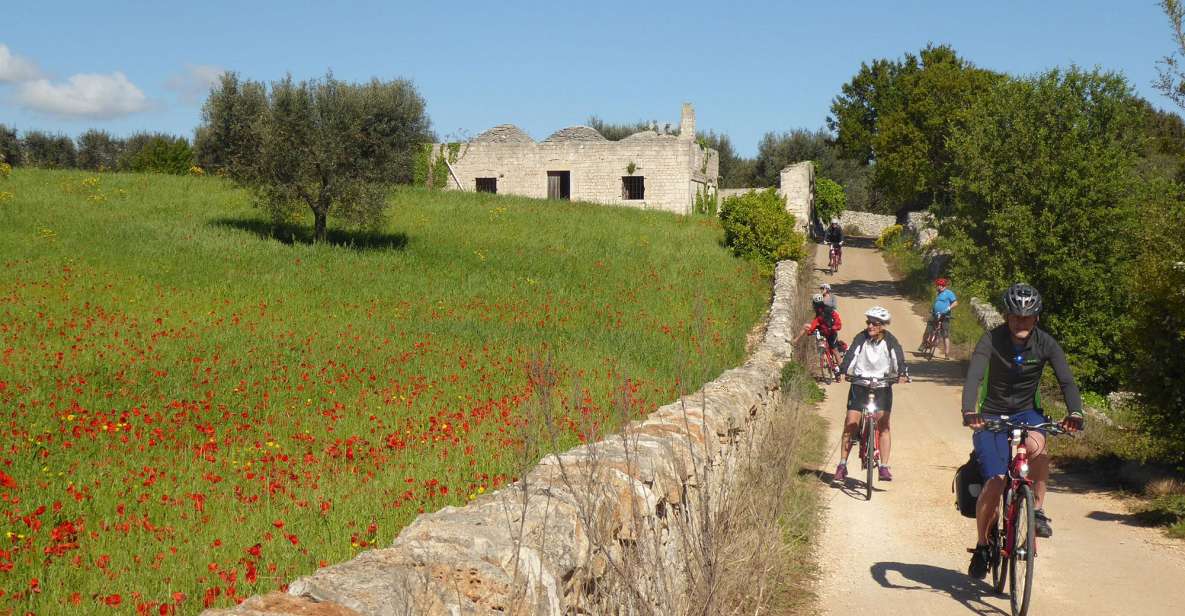 Bike Tour: Olive Oil Tasting & Dune Costiere Park Picnic - Just The Basics