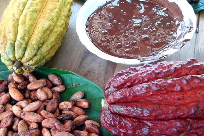 Cacao Tour - Just The Basics