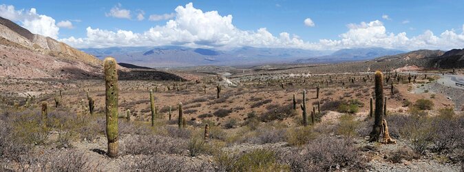 Cachi and Its Spectacular Los Cardones National Park - Just The Basics