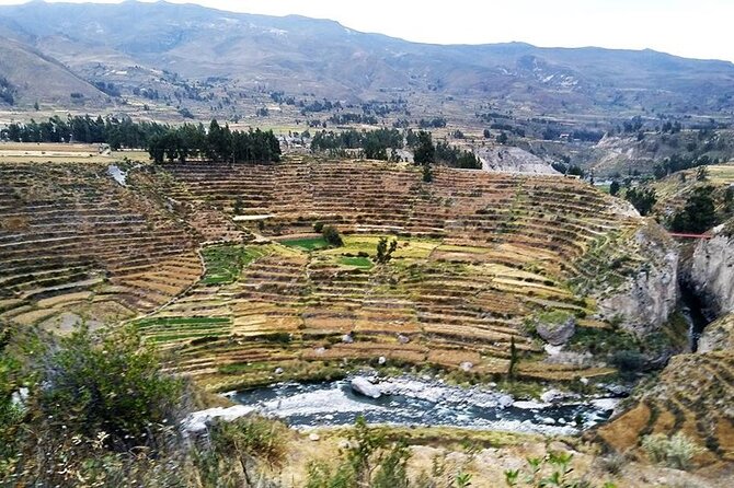 Colca Canyon Tour 2d Short Hiking Overnight in Small Village Ending in Arequipa - Just The Basics