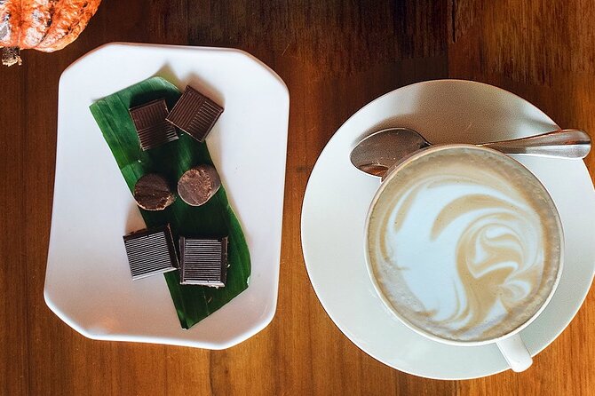 Costa Rican Chocolate Tasting With a Coffee or Hot Chocolate - Just The Basics