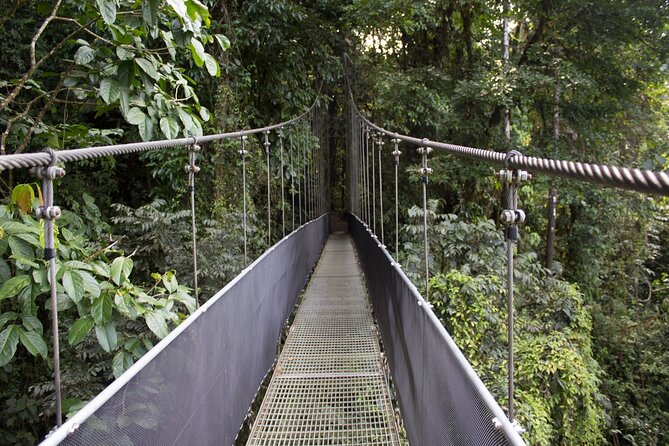 Daily Driver in Costa Rica (One-person Expedition) - Just The Basics