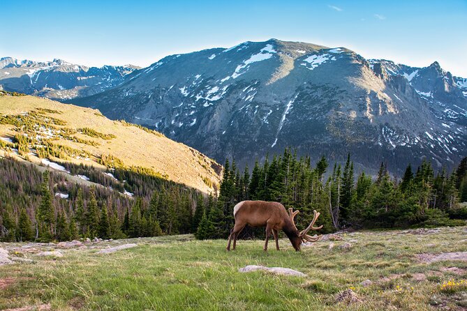 Discover Rocky Mountain National Park From Denver or Boulder - Key Points