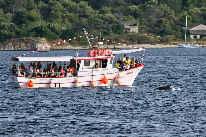 Dolphin Watching Sunset Boat Trip in Pula With Dinner - Just The Basics