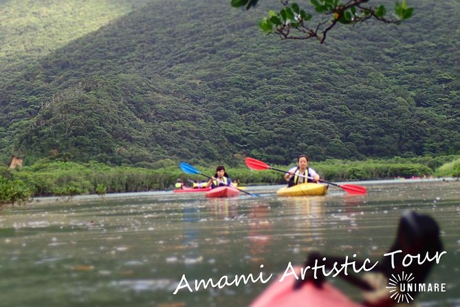 Enjoy a Private Mangrove Canoe in Amami – a Special Journey in Nature - Key Points