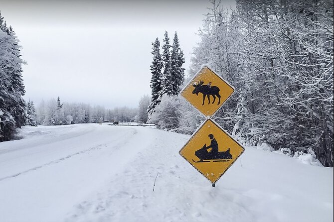 Fairbanks Snowmobile Adventure From North Pole - Key Points