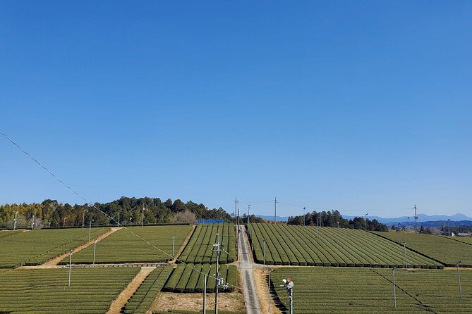 Farming Experience in a Beautiful Rural Village in Nara - Key Points