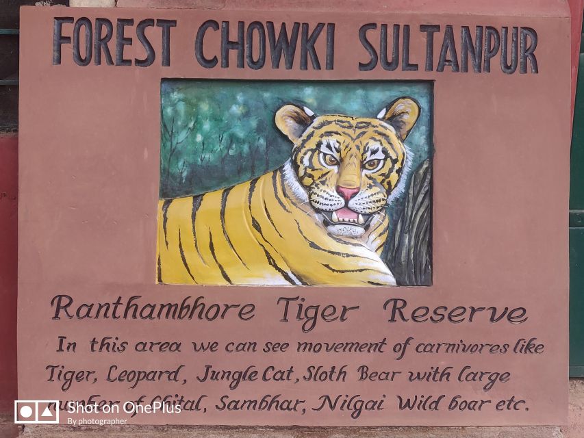 From Delhi: 3-Days Jaipur & Ranthambore Wildlife Safari Tour - Just The Basics
