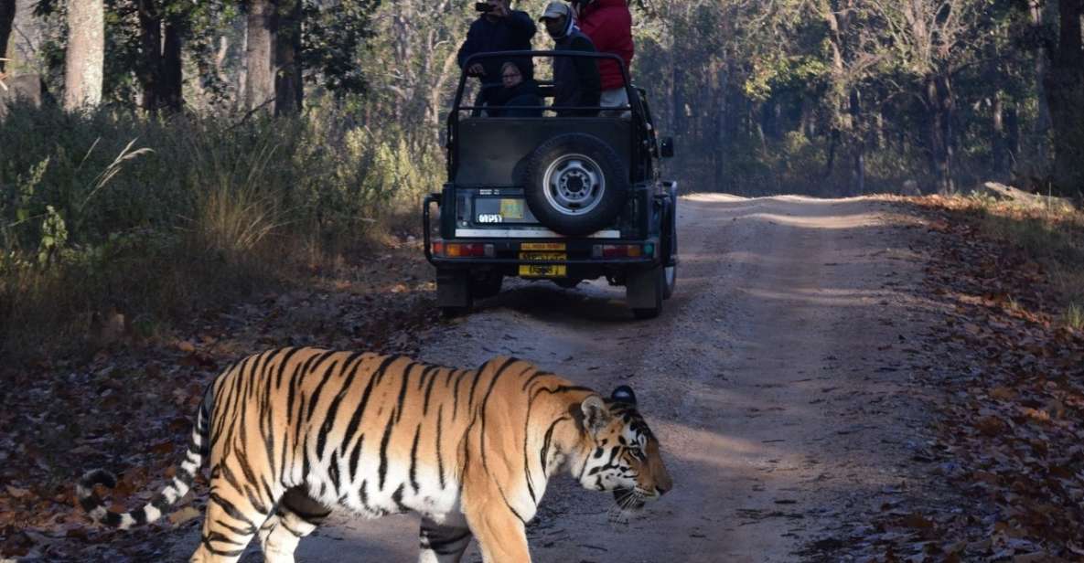 From Delhi: 5-Day Golden Triangle & Ranthambore Safari Tour - Just The Basics