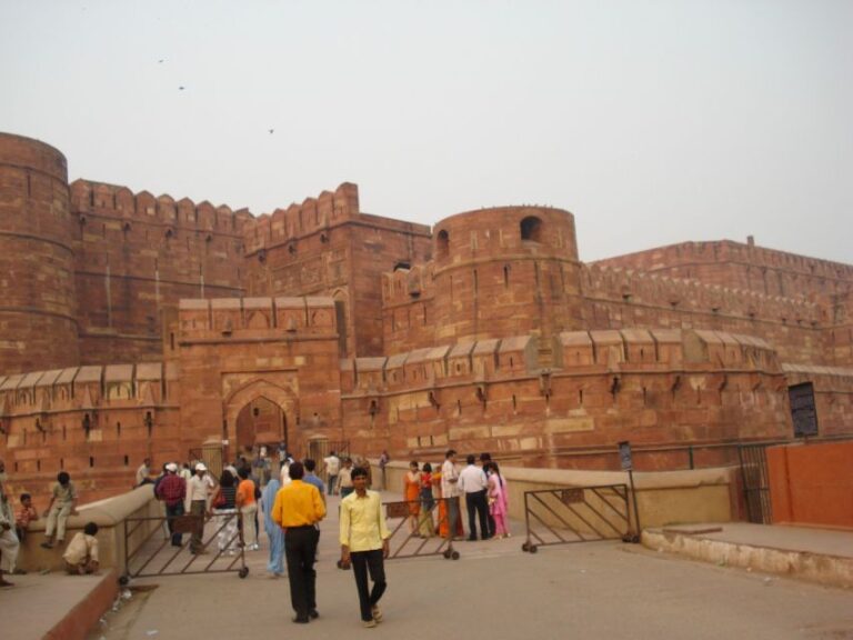 From Delhi: 8-Day Jaipur, Ranthambore, Bharatpur & Agra Tour