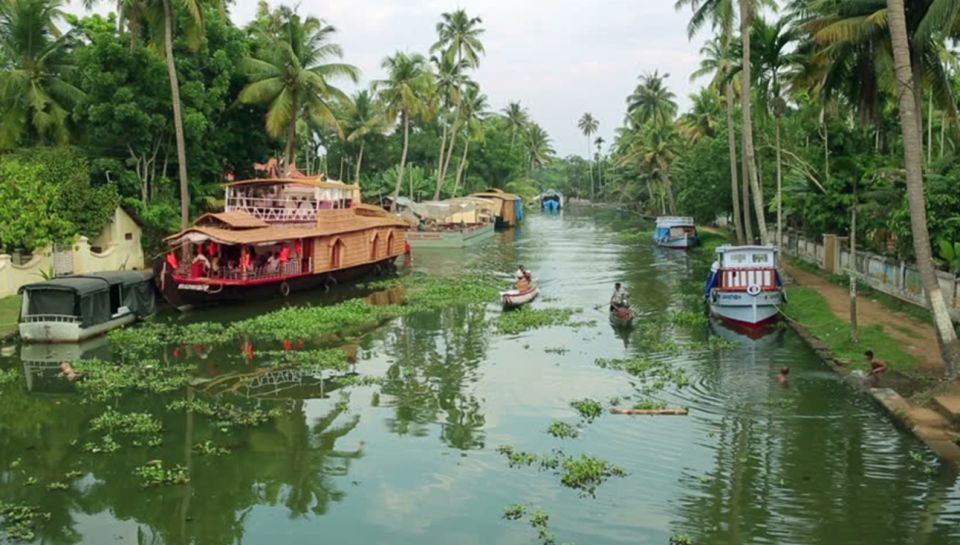 From Kochi: 7-Day Kerala Tour Package With Accommodation - Just The Basics
