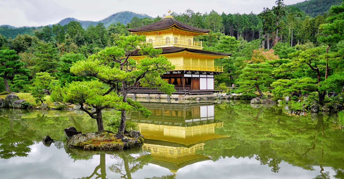 From Osaka or Kyoto: Kyoto & Nara 1 Day Bus Tour - Key Points