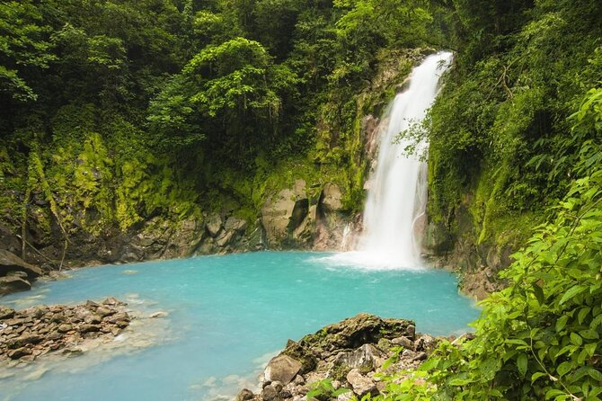 Full-Day Sloth and Rio Celeste Waterfall/Private SUVNature Guide - Just The Basics