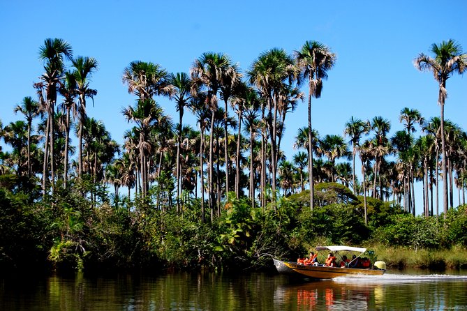 Full Day Tour Through Preguiças River by Speedboat (Mar ) - Just The Basics