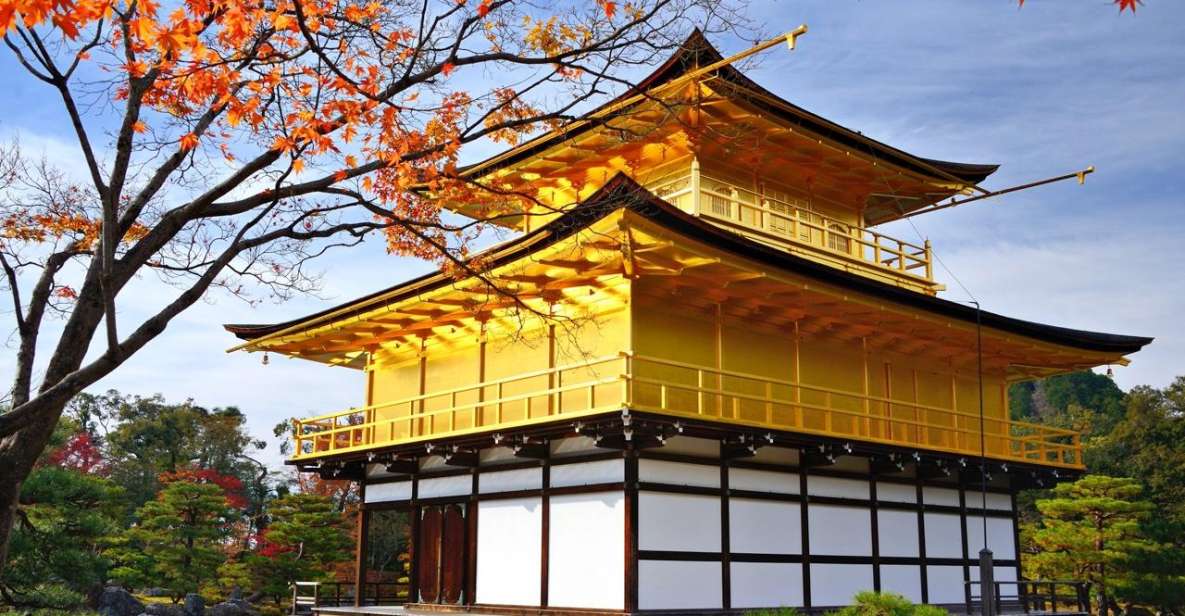 Golden Pavilion and Nijo Castle Half Day Walking Tour - Key Points