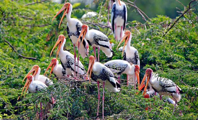 Golden Triangle Tour With Bharatpur