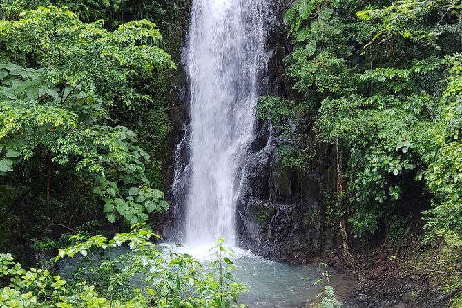 Guided Tour of Filipina Waterfalls in Sora From Panama City - Just The Basics