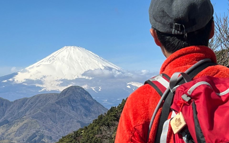 Hakone: Traverse the Hakone Caldera and Enjoy Onsen - Key Points