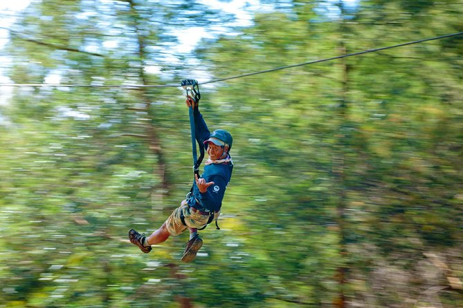 Haleakala 5 Line Zipline Adventure - Key Points