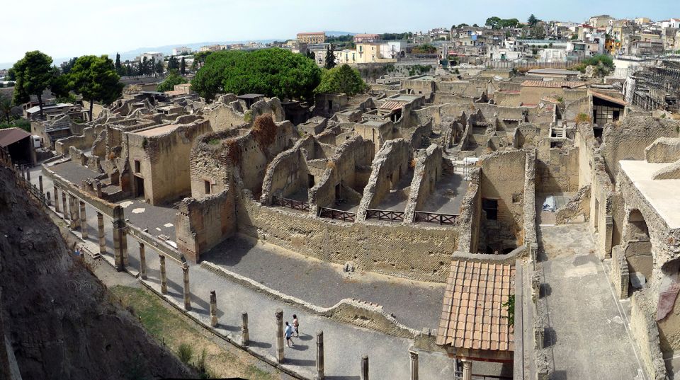 Herculaneum: 2-Hour Private Tour of the Ruins - Just The Basics