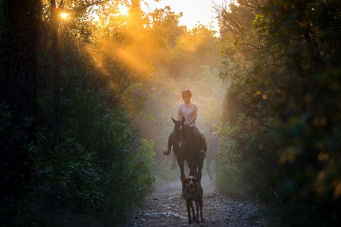 Horseback Riding in Konavle Region With Transport From Dubrovnik - Just The Basics