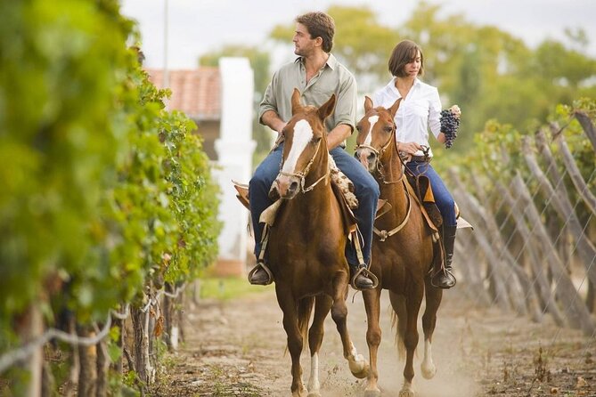 Horseback Riding in Mendoza Through the Vineyards and River With Optional Asado. - Just The Basics