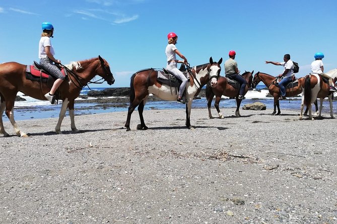 Horseback Riding in Playa Carrillo - Just The Basics