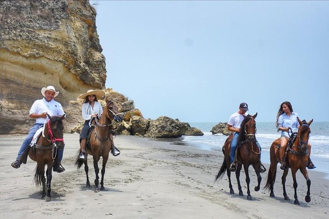 Horseback Riding on the Beach With Paso Colombiano Show - Just The Basics