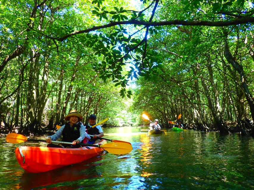Iriomote Island: Kayaking and Canyoning Tour - Key Points