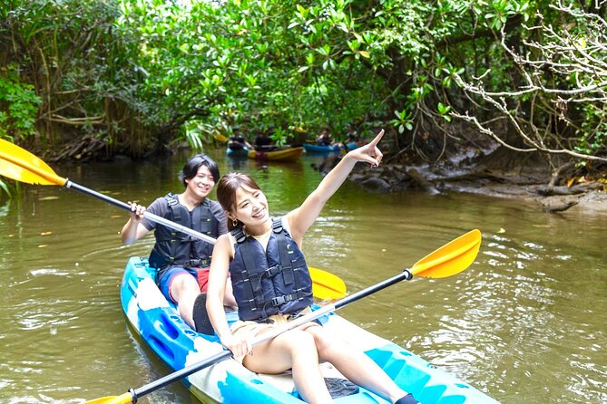 [Iriomote]SUP/Canoe Tour at Mangrove ForestSplash Canyoning!! - Key Points