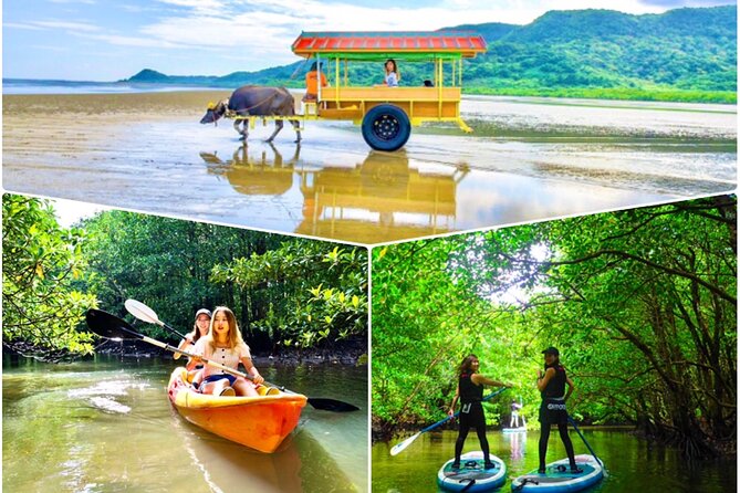 [Iriomote]Sup/Canoe Tour Sightseeing in Yubujima Island - Key Points