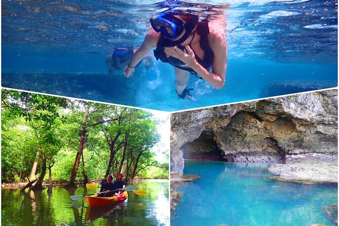 [Ishigaki]Mangrove SUP/Canoe Blue Cave Snorkeling - Key Points