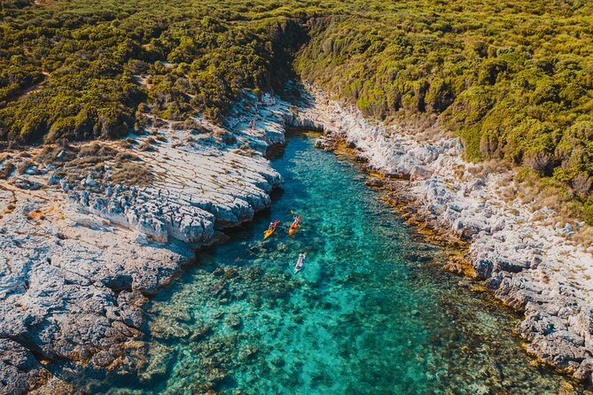 Istria Coast Kayaking Group Tour (Mar ) - Just The Basics