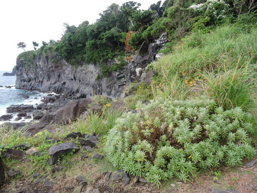 Izu Peninsula: Jogasaki Coast Experience - Key Points