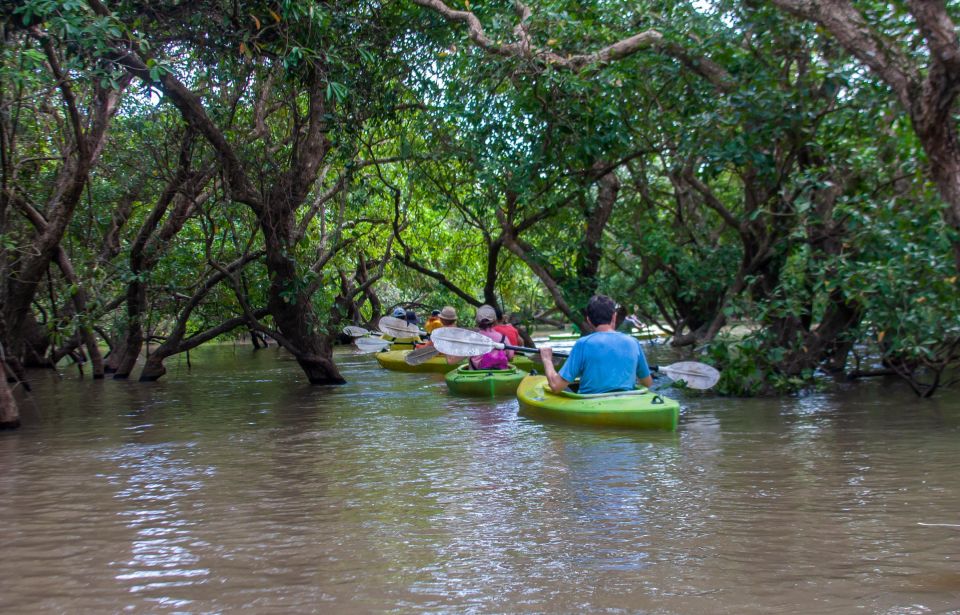 Kayaking & Floating Village in Siem Reap - Just The Basics