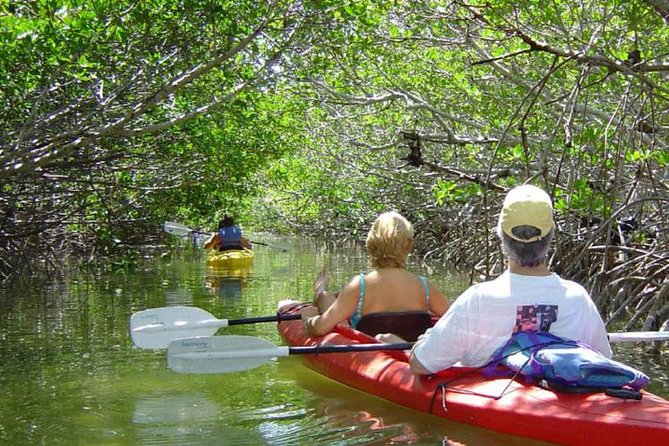 Key West Mangrove Kayak Eco Tour - Key Points