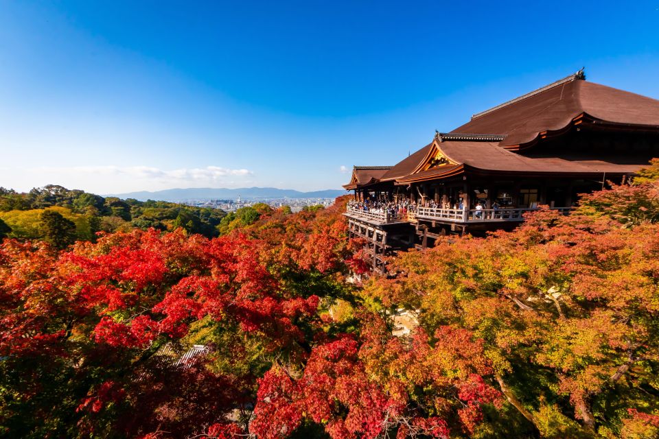 Kiyomizu Temple and Backstreet of Gion Half Day Private Tour - Key Points