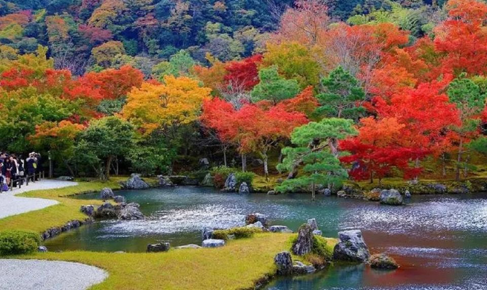 Kyoto Full Day Tour: Visiti Kyoto Sanzen-In and Arashiyama - Key Points