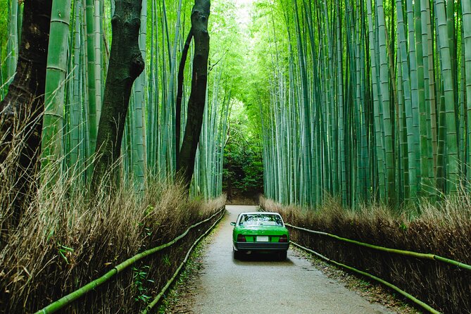 Kyoto Private 6 Hour Tour: English Speaking Driver Only, No Guide - Key Points