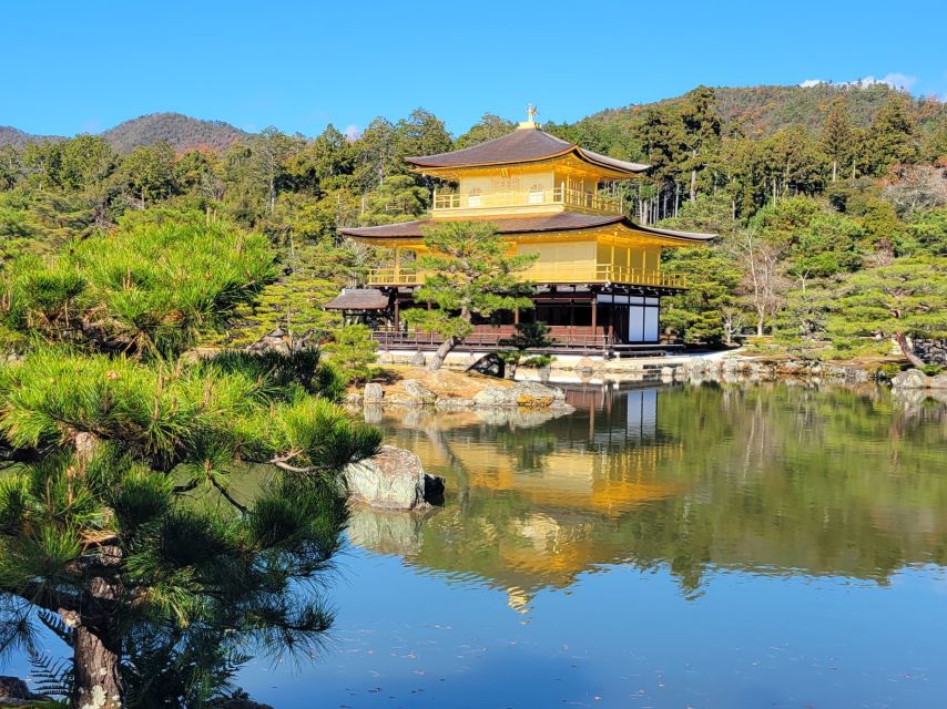 Kyoto: Private Walking Tour With Government Certified Guide - Key Points
