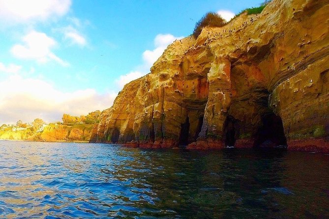 La Jolla Sea Caves Kayak Tour (Single Kayak) - Key Points