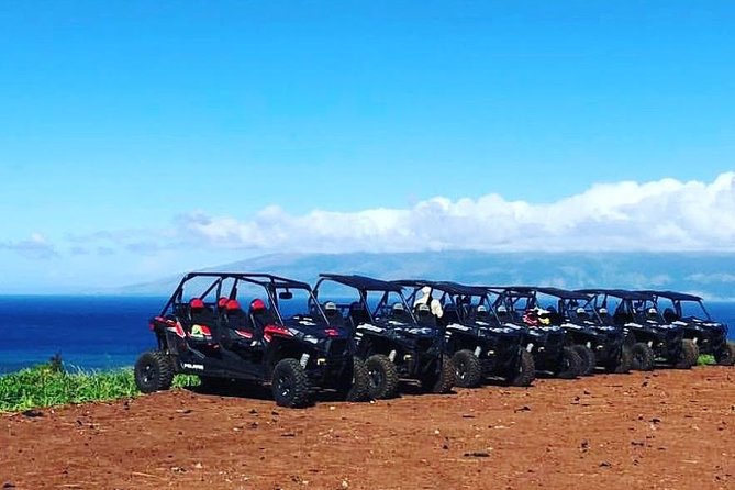 Lahaina ATV Adventure, Maui - Key Points