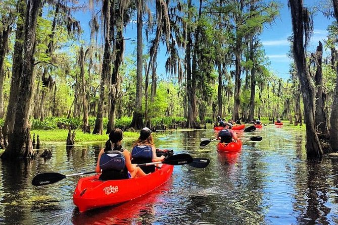 Manchac Swamp Kayak Small-Group Tour - Key Points