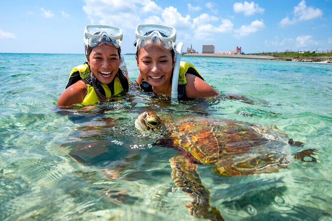 Miyakojima / Snorkel Tour to Swim With Sea Turtles - Key Points