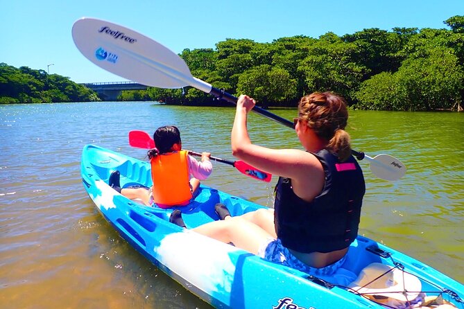 Miyara River 90-Minute Small-Group SUP or Canoe Tour (Mar ) - Key Points