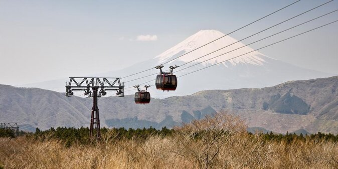Mt Fuji and Hakone 1-Day Bus Tour Return by Bus - Key Points