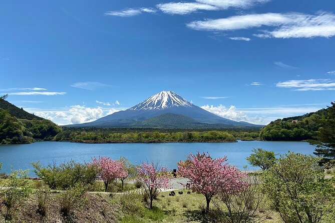 Mt Fuji Lakeshores Full-Day Bike Tour - Key Points